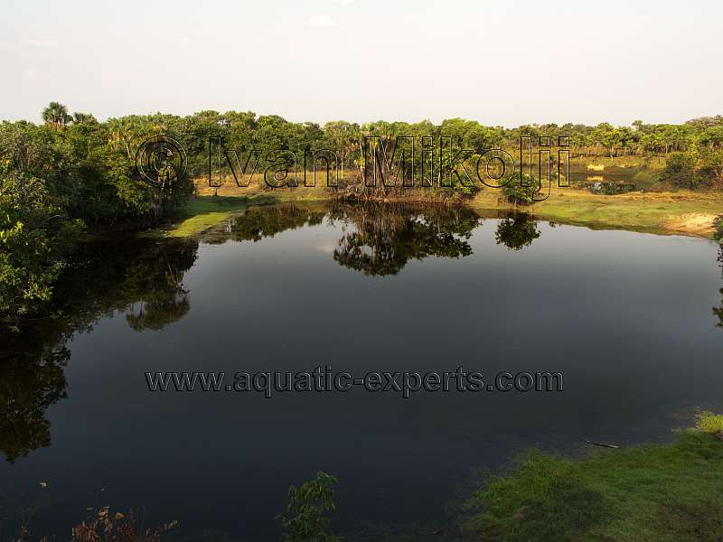 rio Caño La Guardia